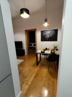Mieszkanie w centrum Łodzi ul Wólczańska